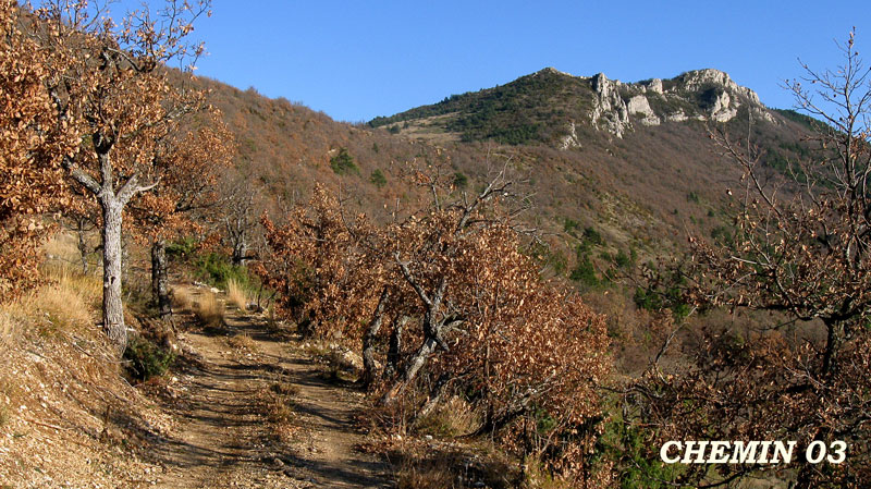 chemin-03