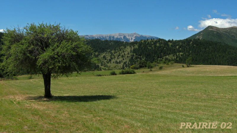 prairie-02