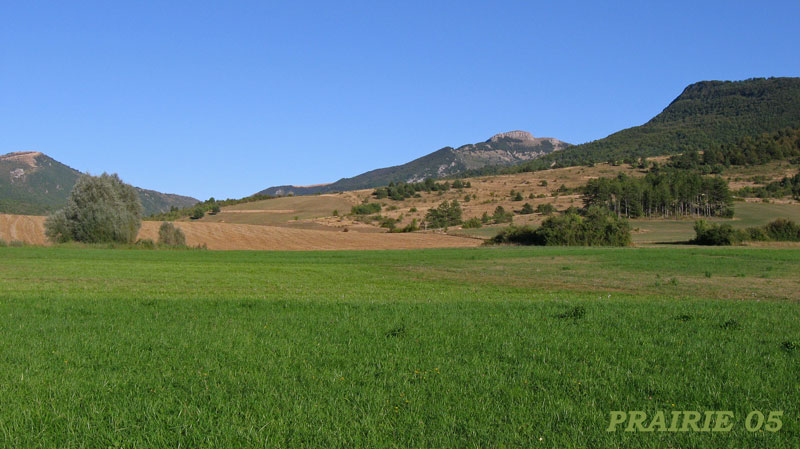 prairie-05