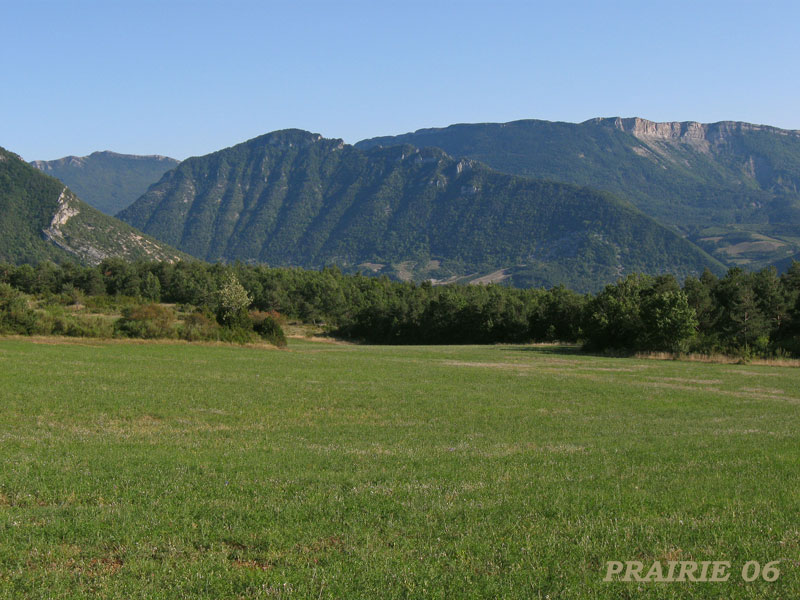 prairie-06