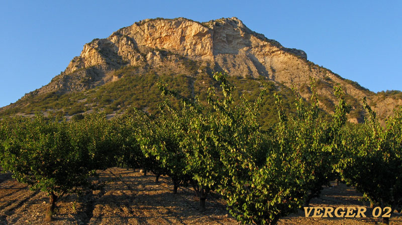 verger-02