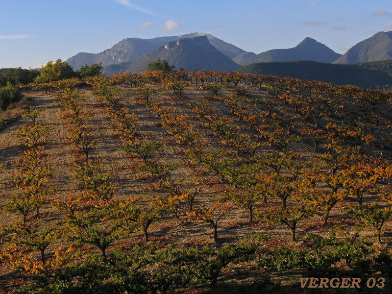 verger-03