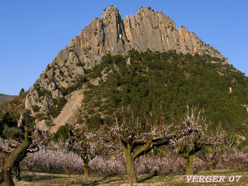 verger-07