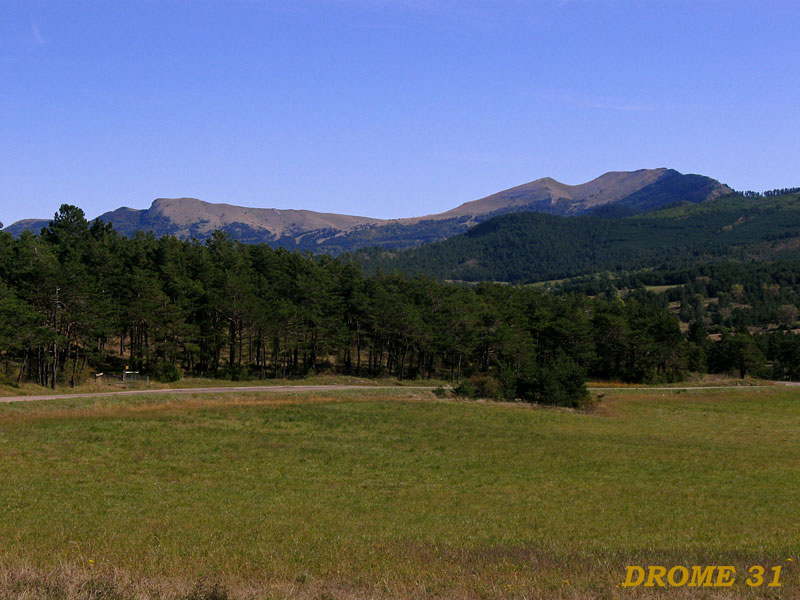 drome-31