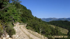 chemin-05