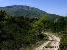 chemin-12