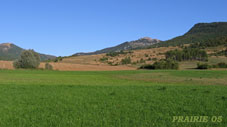 prairie-05
