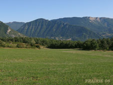 prairie-06
