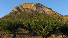 verger-02